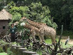 -广州长隆野生动物世界