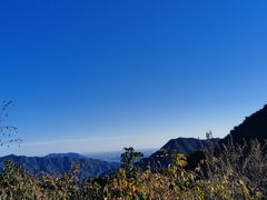 -大岭沟猕猴桃谷风景区