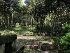 -法云安缦酒店