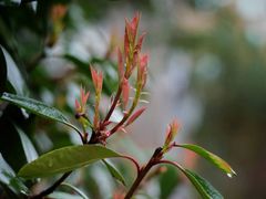 -螃蟹岬(地铁站)