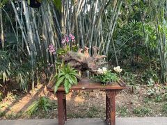 -广州兰圃