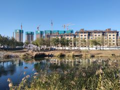 -马家湾湿地公园