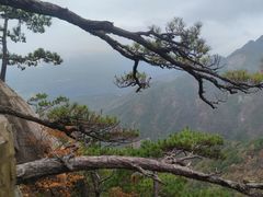 -罗田天堂寨风景区