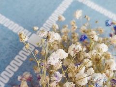 -忘忧草融合私房菜(红鼎国际店)