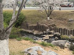 -羊山湖公园