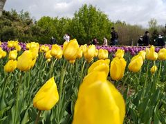 -长春公园(普阳街道)