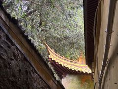 -普陀山慧济禅寺