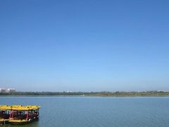 -丁香湖公园