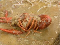 -呆虾王龙虾馆(南湖总店)