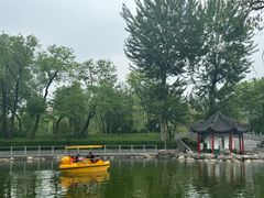-莲湖公园