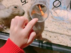 -zoonana室内动物园(东方福来德店)