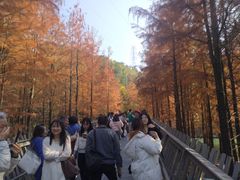 -梅峰山地公园