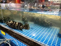 -隐厨·海鲜餐厅(恒通路店)