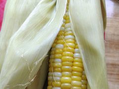 -光明刘冰乳鸽店(光明法政北路店)