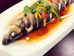 -熊猫川菜馆 panda chine