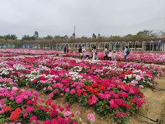 -盈香心动乐园
