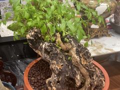 -隐厨·海鲜餐厅(恒通路店)