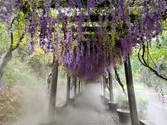 -太姥山风景名胜区