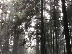 -井冈山风景名胜区-黄洋界
