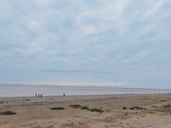-南汇新城海滩