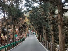 -南岳衡山风景名胜区