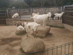 -上方山森林动物世界