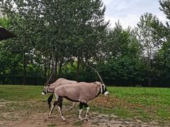 -大连森林动物园