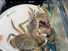 -苏格里岛自助烤肉海鲜火锅(成都金牛万达店)