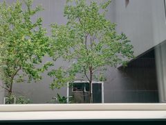 -大芬美术馆