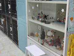 -莘程宠物医院(金山店)