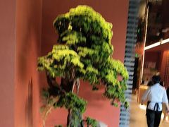 -阿伟海鲜楼·福建菜(延寿店)