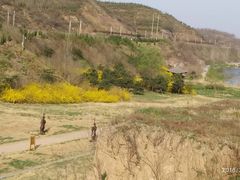 -函谷关历史文化旅游区