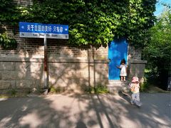 -日照海滨国家森林公园