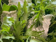 蔬菜拼盘-常赢三兄弟·清真涮肉·清真炒菜(朝阳新城店)
