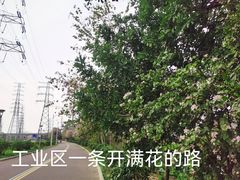 -文华公园(禅城区)