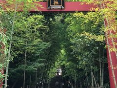 -来宫神社