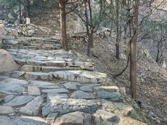 -北京鹫峰国家森林公园
