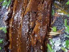 -小龙大肉面馆