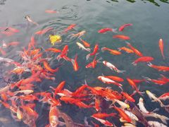 -滴水洞景区