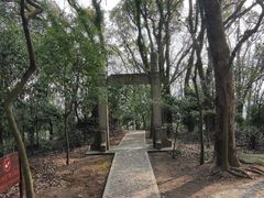 -上海佘山国家森林公园天马山园