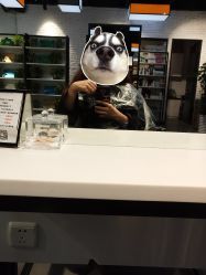 -CIT造型·烫发·染发