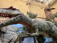 -国家自然博物馆