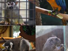 -海合安武汉极地海洋公园