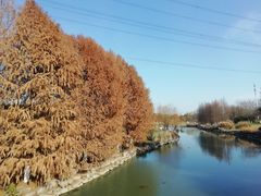 -九里河湿地公园