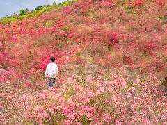 -瑞安圣井山景区