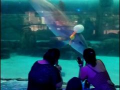 -波塞冬旅游度假区