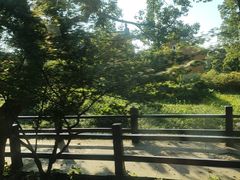 -普陀山风景名胜区-法雨禅寺