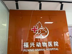 -瑞派福兴宠物医院犬猫全科·骨科·中西医结合(河东店)