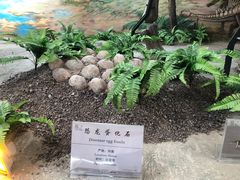 -延庆地质公园博物馆