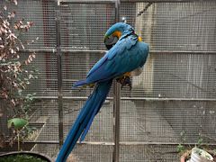 -观桥阁(锦溪店)